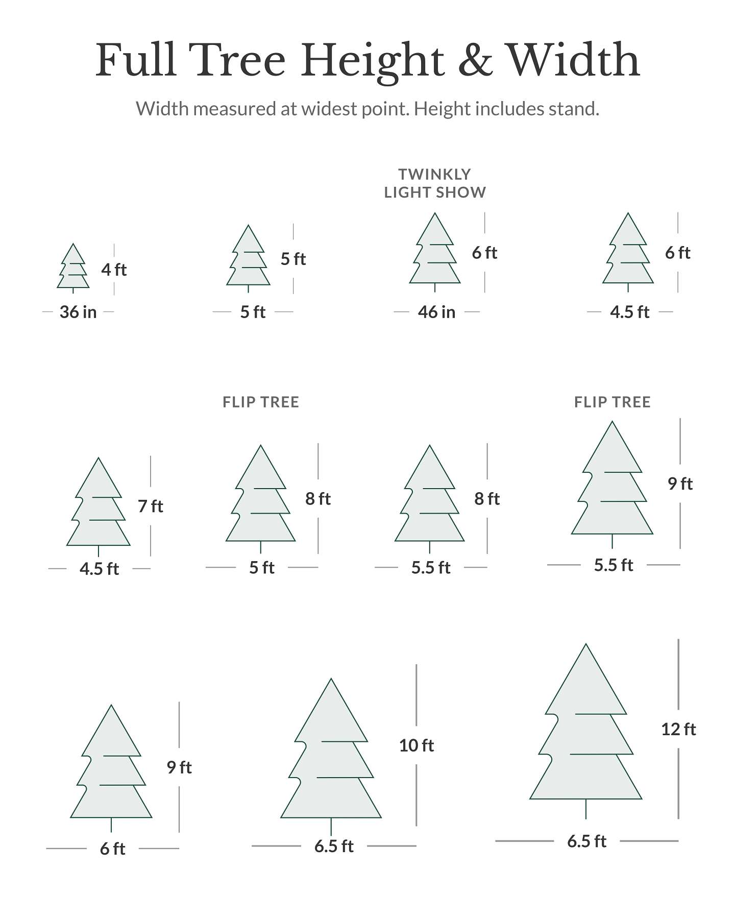 7' BH Nordmann Fir