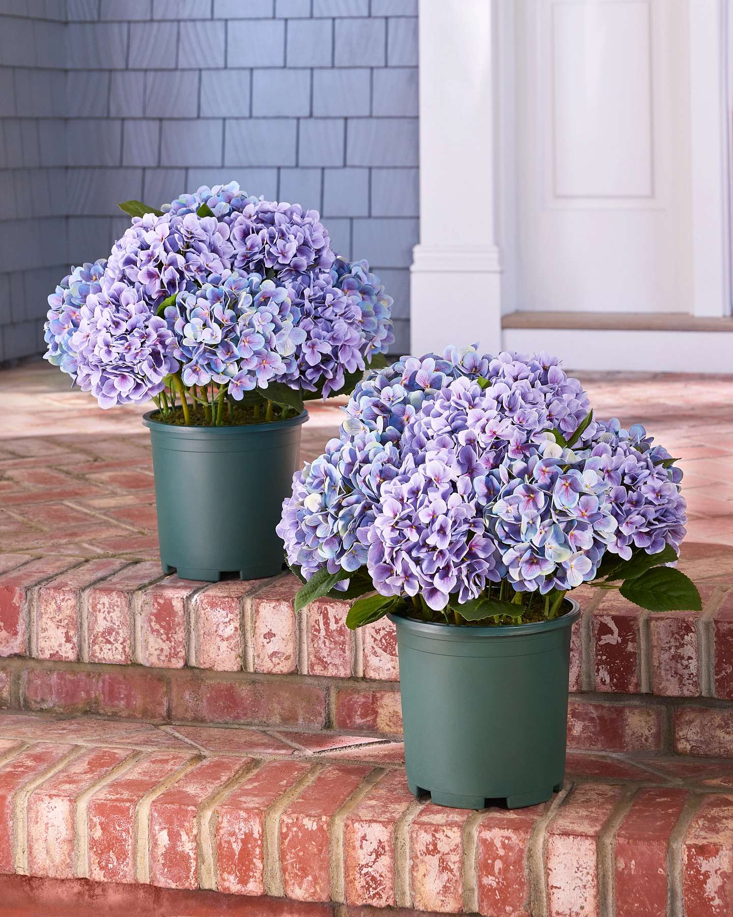 Balsam Hill Purple Outdoor Hydrangea Harmony Artificial Spring Foliage Set of 2 Showcase