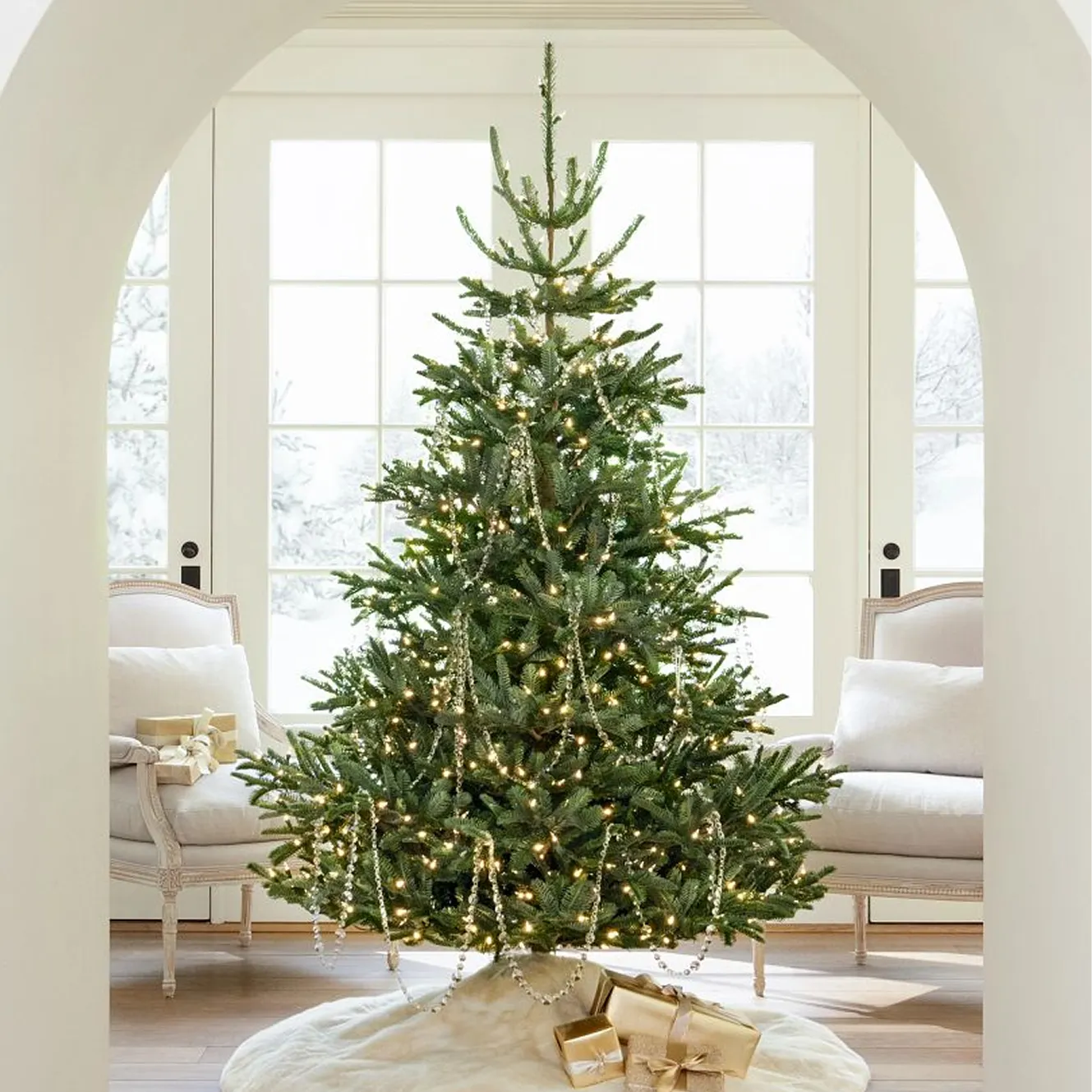 Shop Bestselling Trees