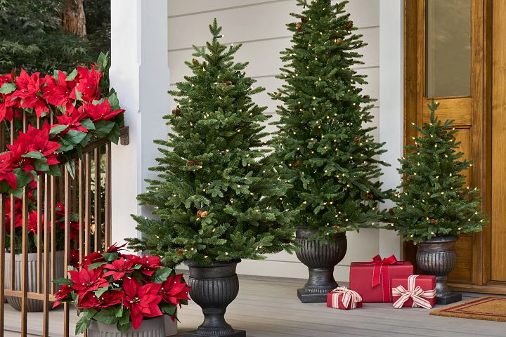 Die besten Stellen für Weihnachtsbäume im Innen- und Außenbereich