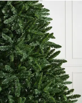 Classic Evergreen Spruce Classic Evergreen Spruce