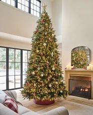 Decorated Christmas tree in living room