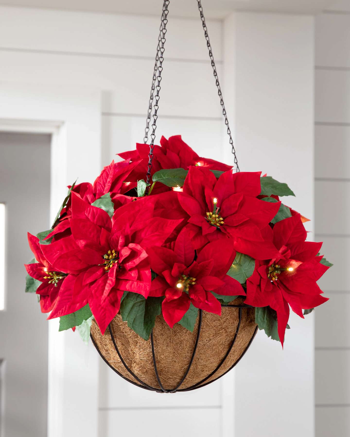 Balsam Hill Outdoor Lit Poinsettia Celebration Artificial Christmas Hanging Basket 18-Inch LED