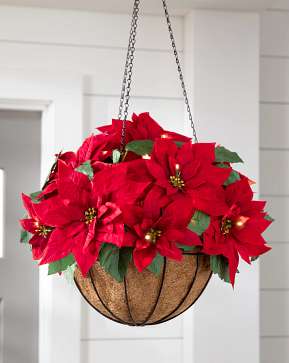 Red Outdoor Lit Poinsettia Celebration Hanging Basket Red Outdoor Lit Poinsettia Celebration Hanging Basket