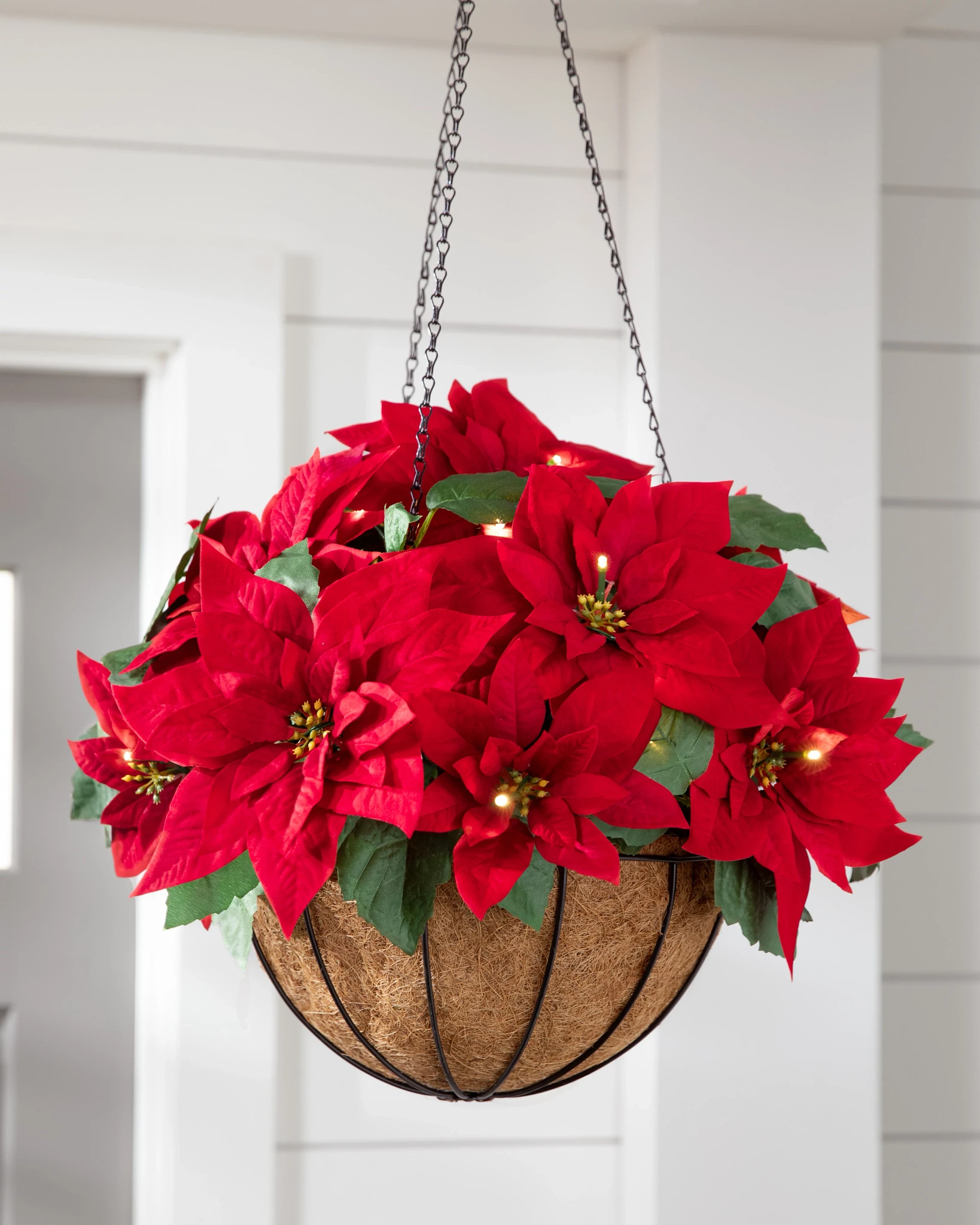Outdoor Lit Poinsettia Celebration Artificial Christmas Hanging Basket ...