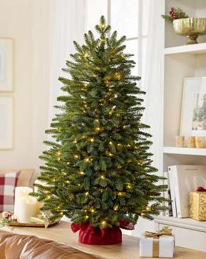 BH Fraser Fir Tabletop Tree BH Fraser Fir Tabletop Tree