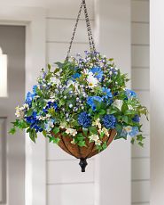 Hanging basket with blue flowers