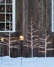 White twig trees with lights
