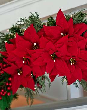 Poinsettia Berry Burst Swag Poinsettia Berry Burst Swag