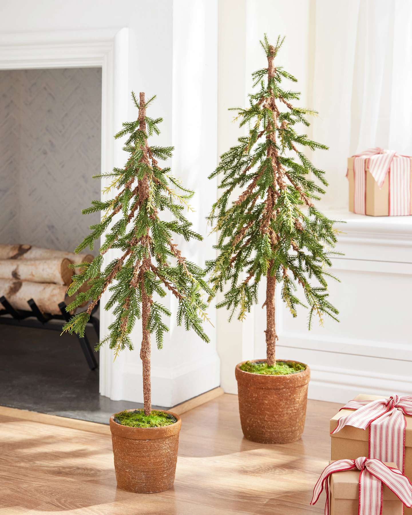 Rustic Evergreen Pine Trees, Set of 2