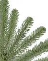 Nantucket Spruce Branch by Balsam Hill Detail