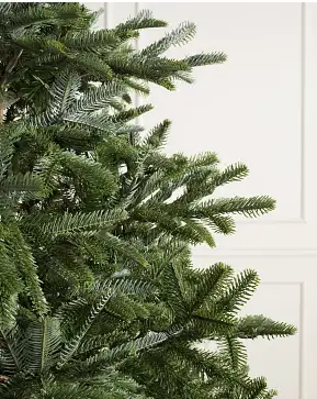 Nordmanntanne Flip Tree® Nordmanntanne Flip Tree®