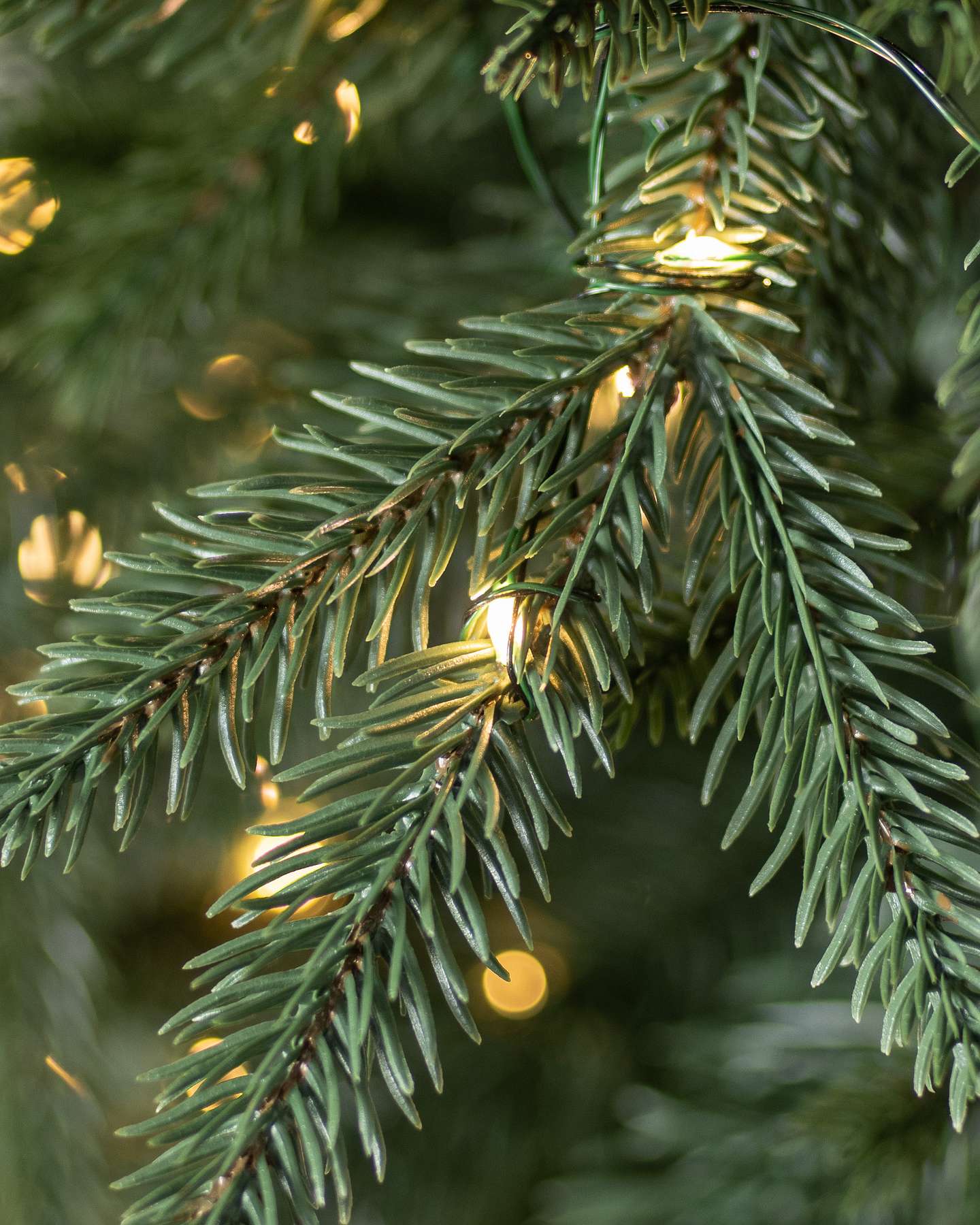 Balsam Hill Revelstoke Fir Artificial Christmas Tree with LED Candlelight Finish Closeup