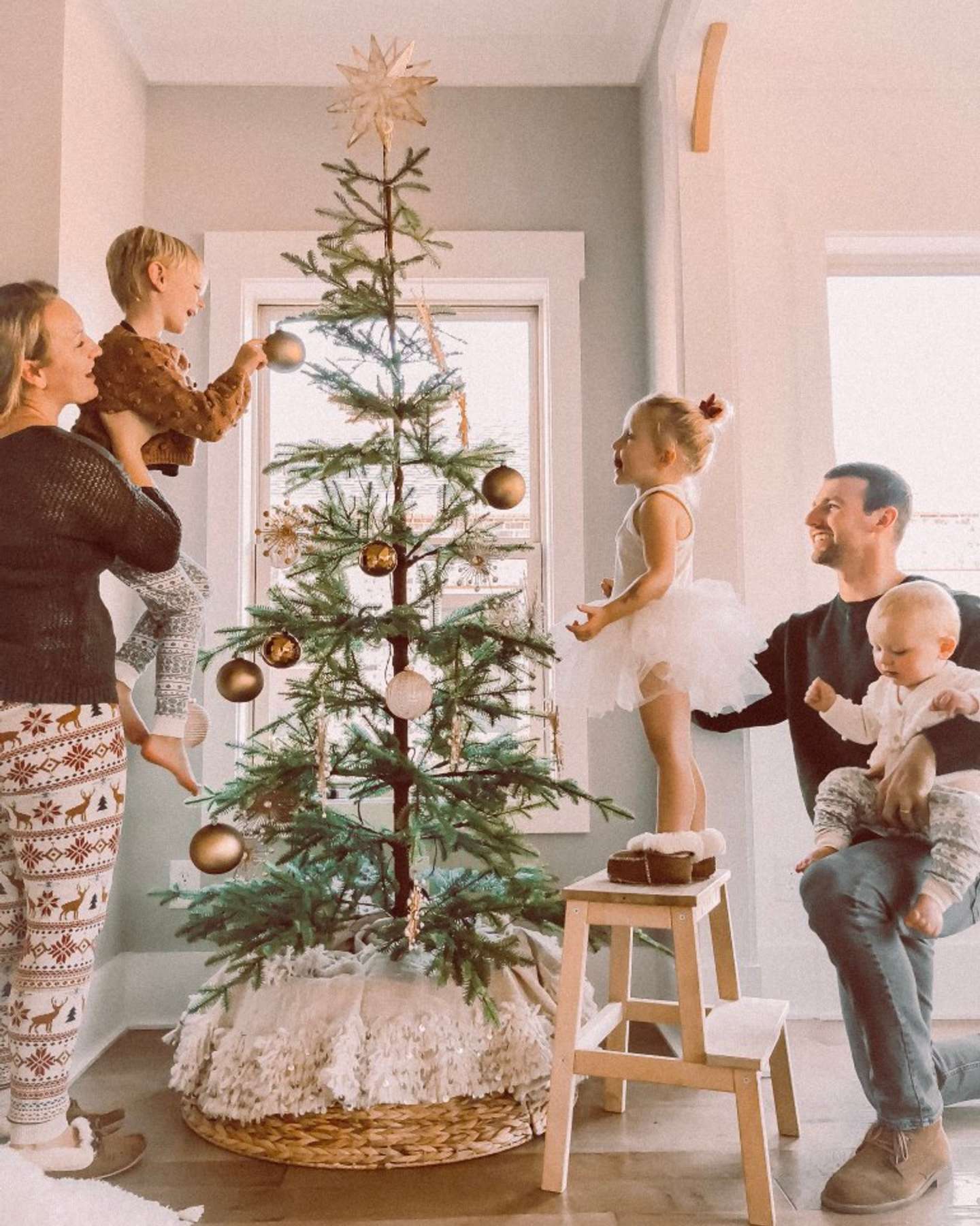 Balsam Hill Alpine Balsam Fir Artificial Christmas Tree This Haus of Ours Blog Feature