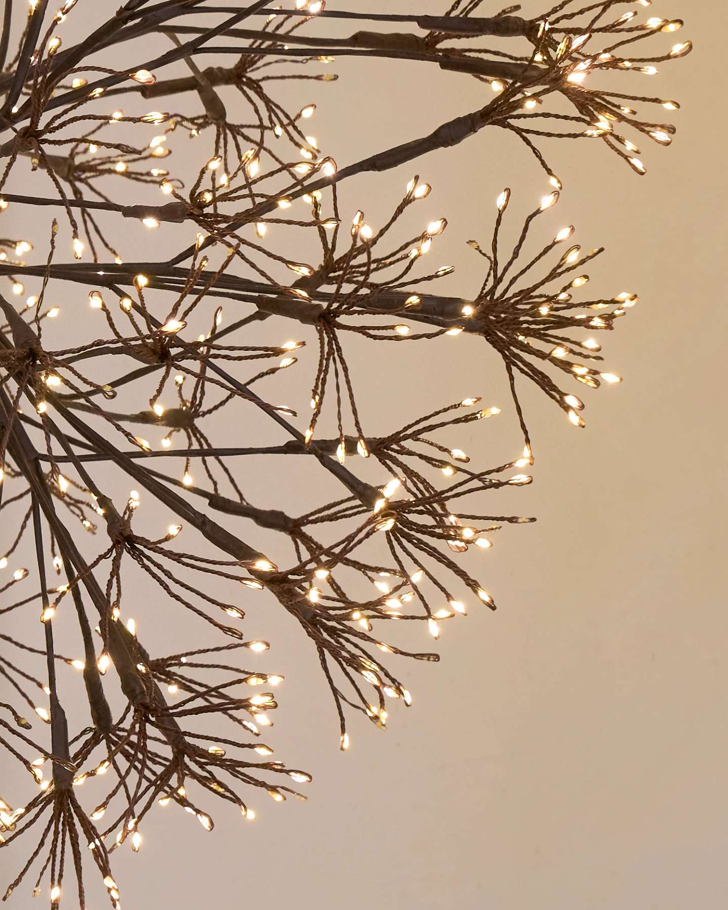 Balsam Hill Brown Outdoor Cluster Fairy Starburst Lights Closeup