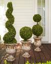 Battery-Operated Boxwood Topiary by Balsam Hill Lifestyle 30