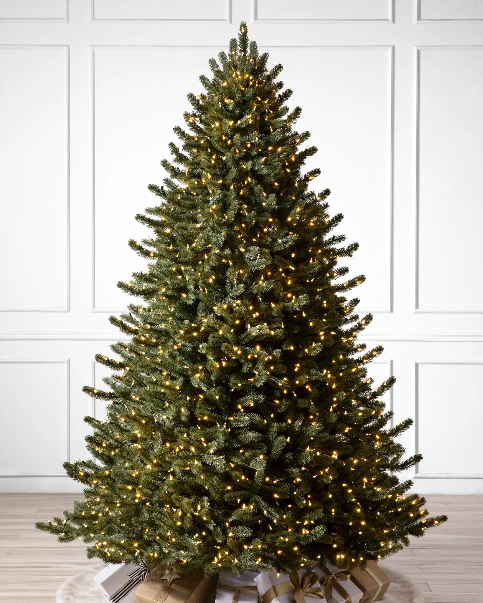 Frosted Classic Blue Spruce