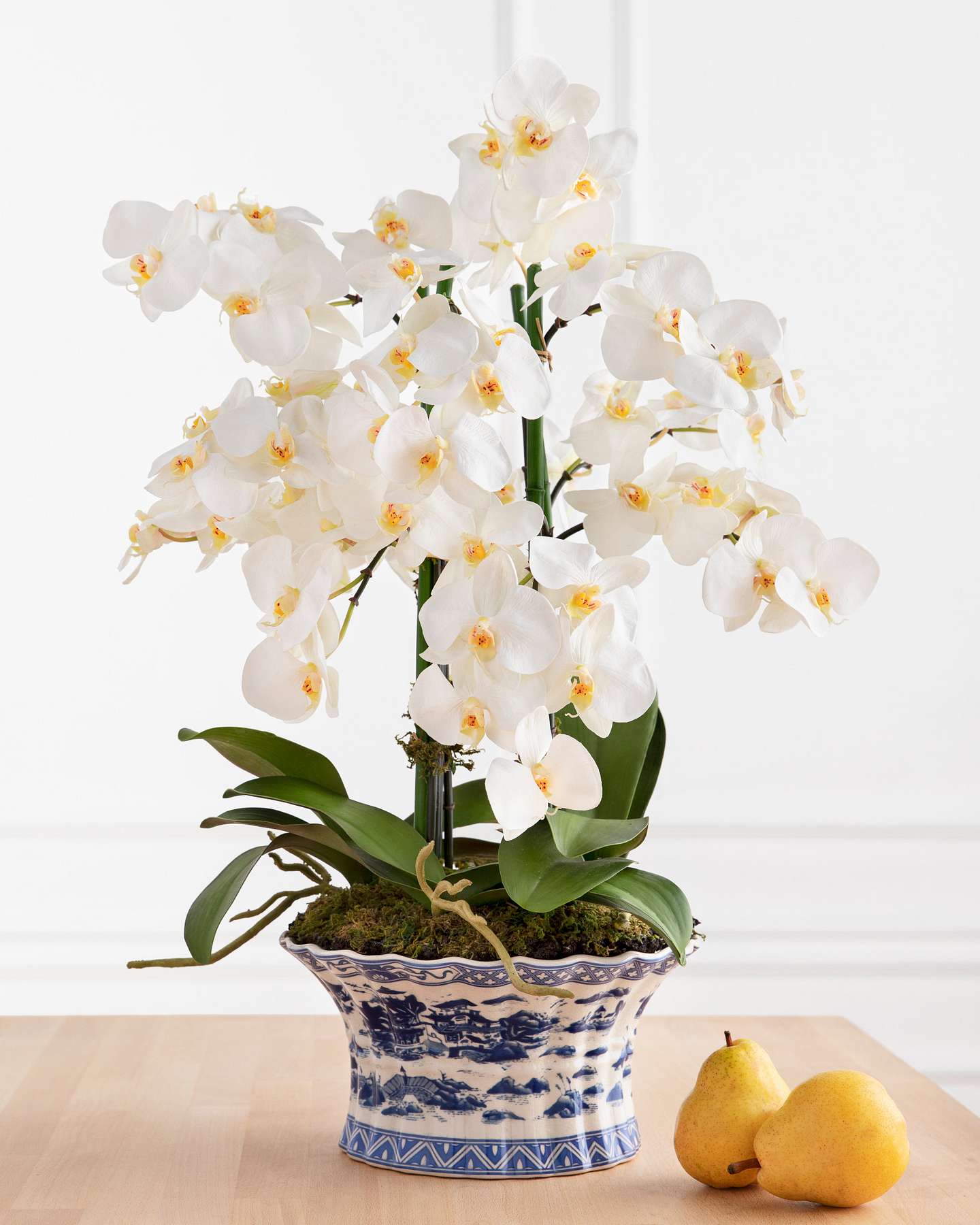Balsam Hill White Phalaenopsis Orchids Artificial Flower Arrangement Display