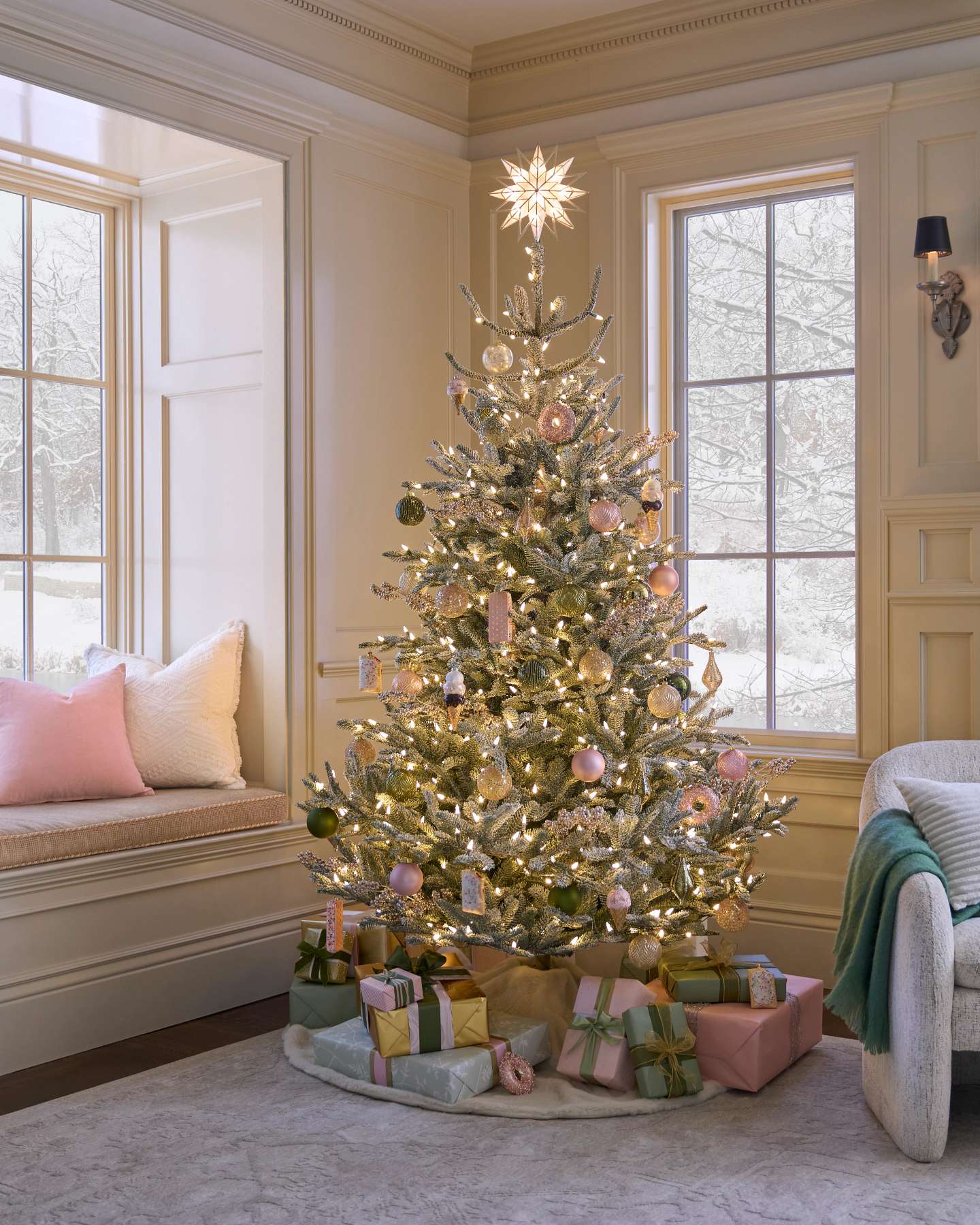 BH Nordmann Fir