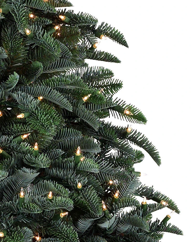 BH Noble Fir Narrow