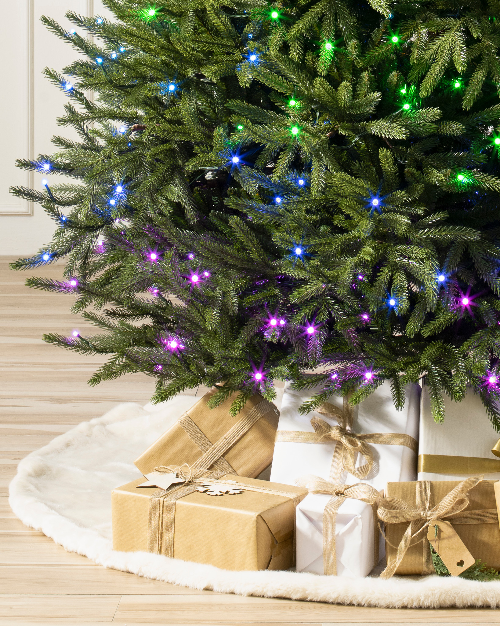 Black Hills Spruce Christmas Trees Balsam Hill