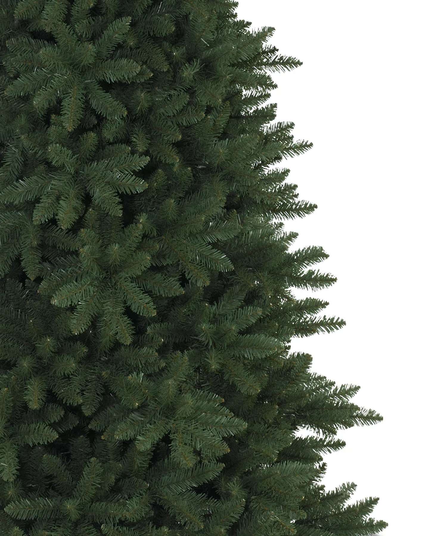 Branch Samples, Set of 16
