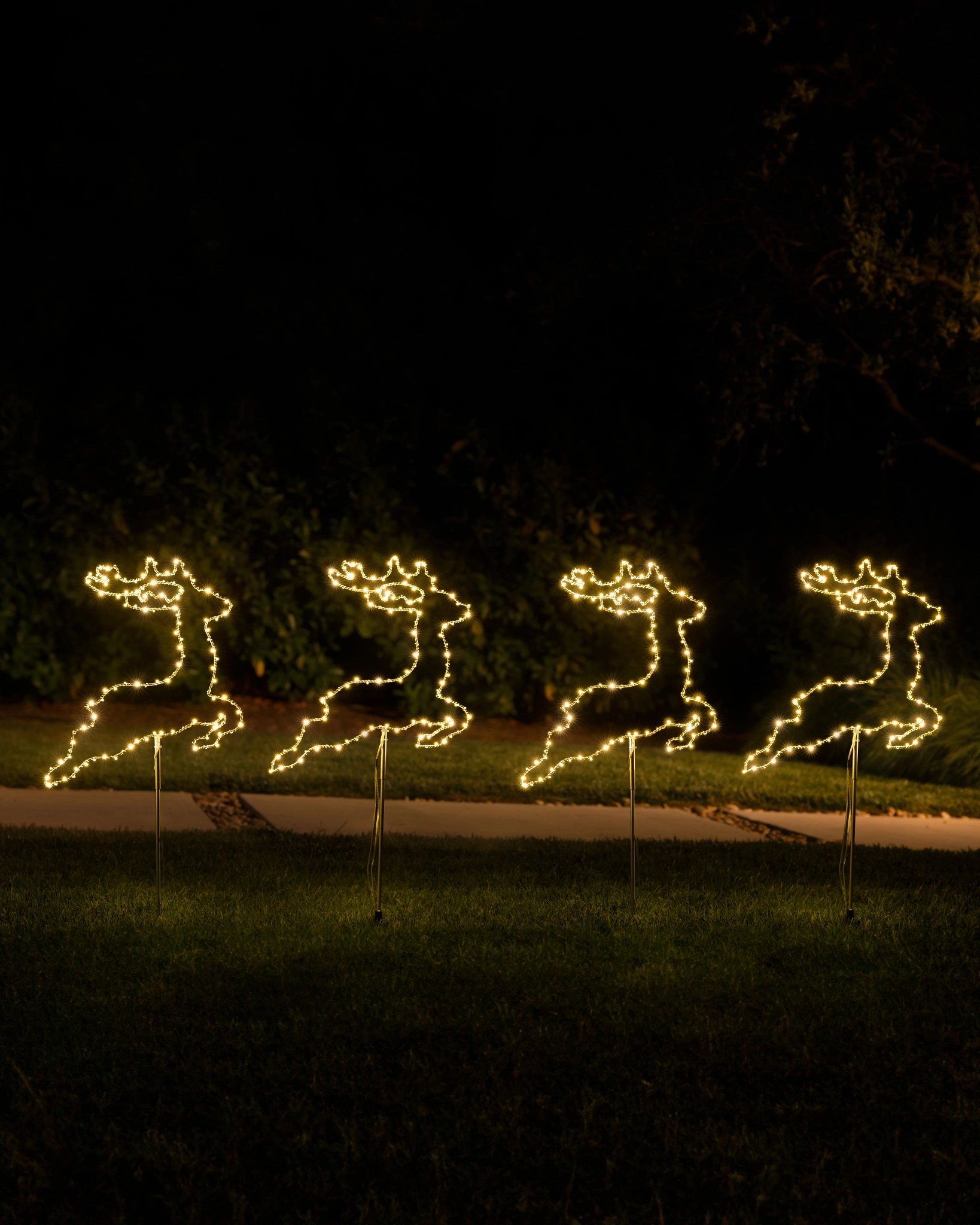 Outdoor North Pole Express Pathway Light Sets | Balsam Hill