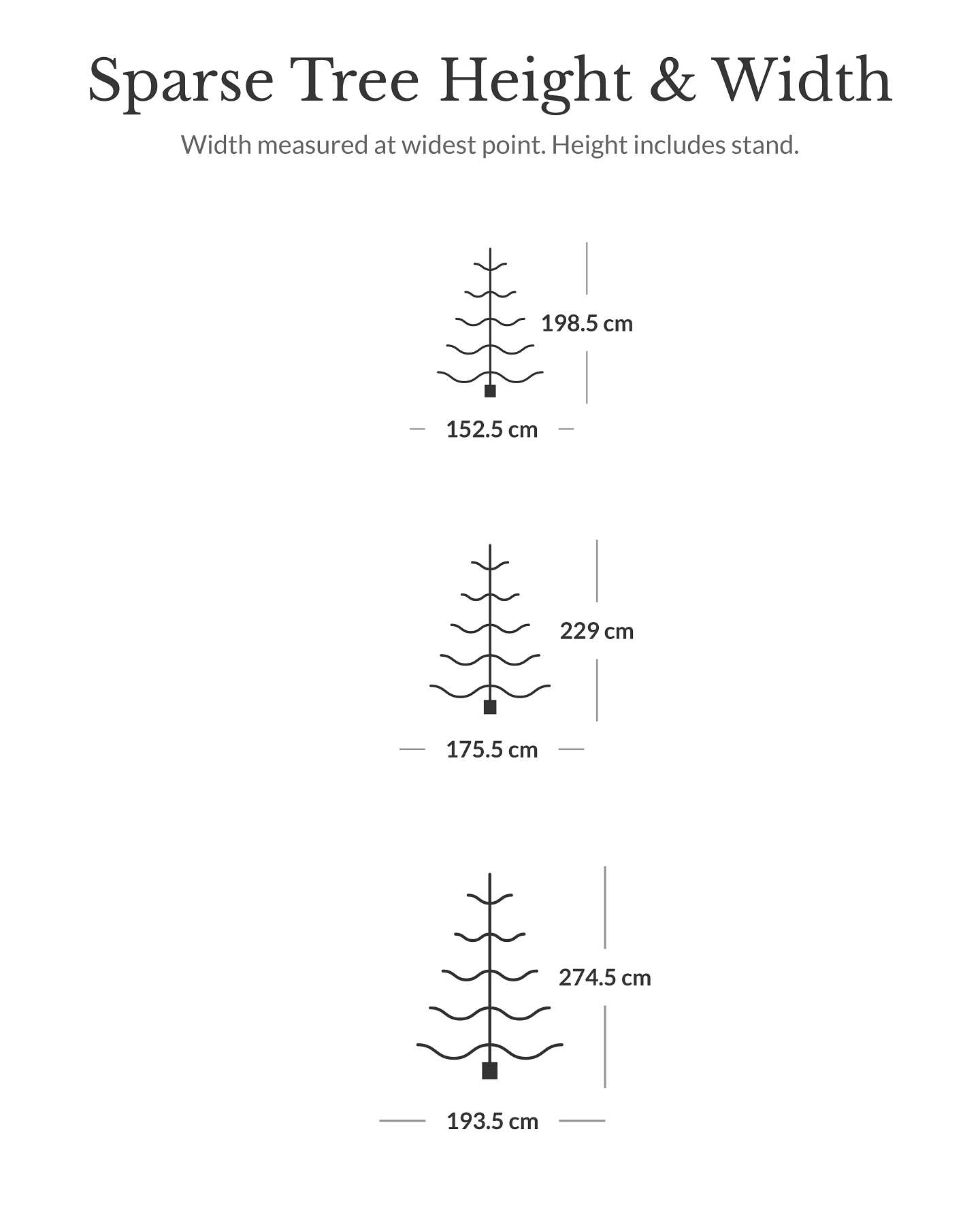 European Fir Tree
