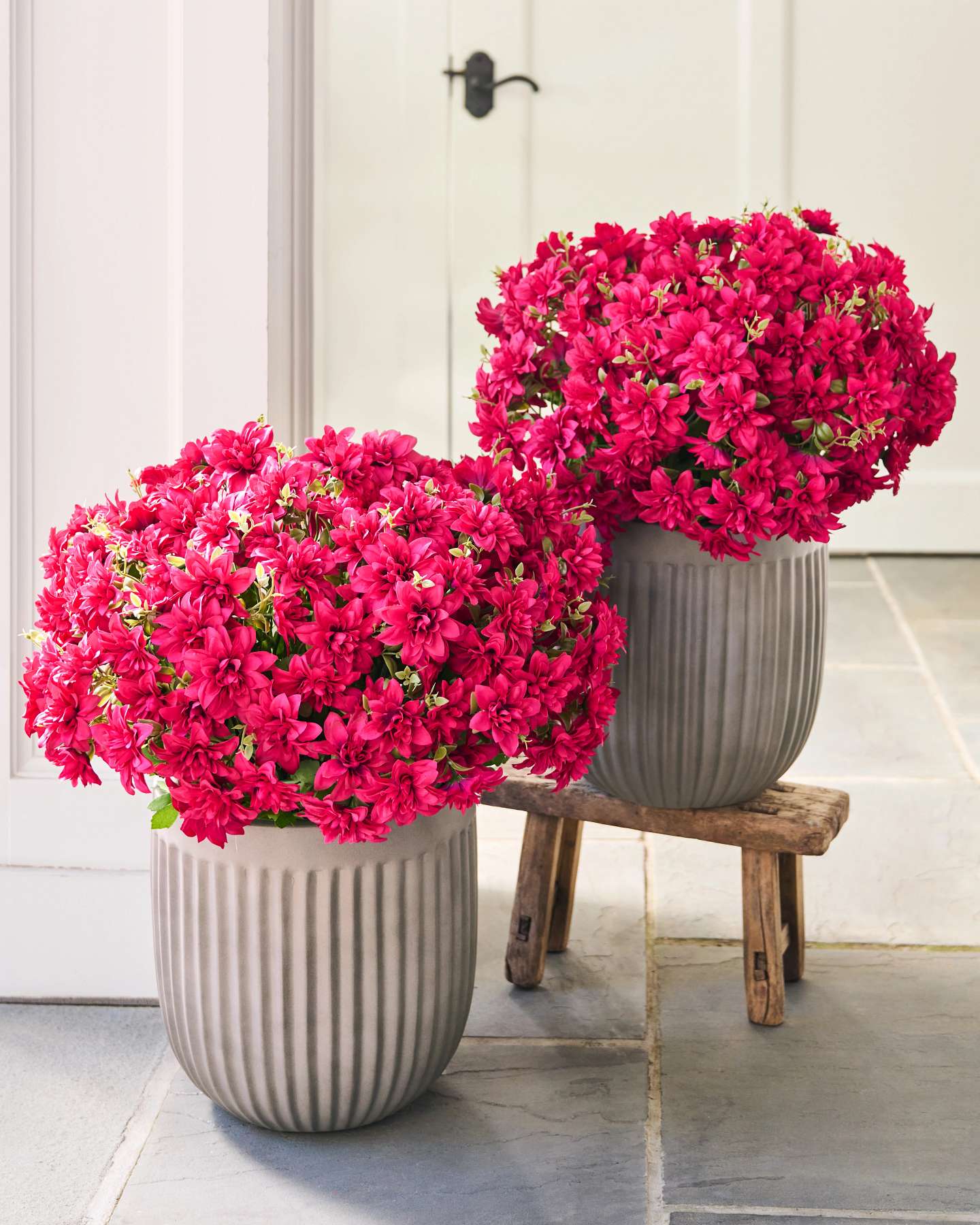 Balsam Hill Outdoor Dahlia Delight Artificial Spring Foliage Home Decor