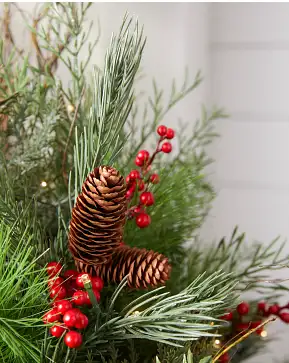 Outdoor Red Berry Pine Potted Arrangement Outdoor Red Berry Pine Potted Arrangement