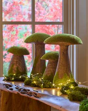 Mossy Woodland Mushroom Set Mossy Woodland Mushroom Set