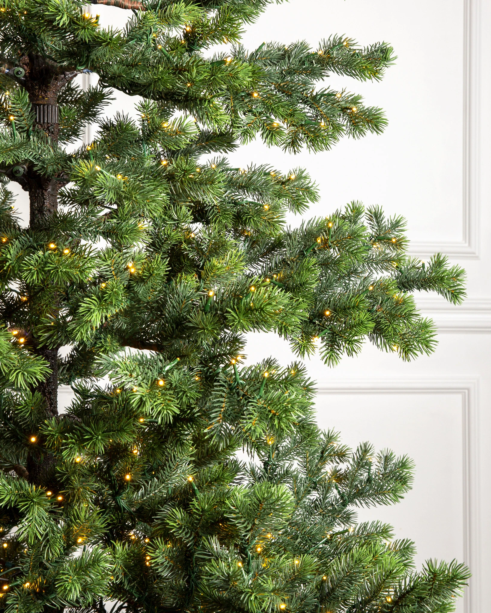 Yukon Spruce