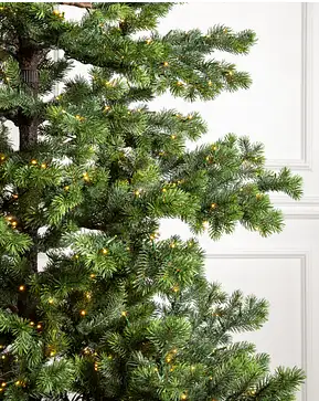 Yukon Spruce Yukon Spruce