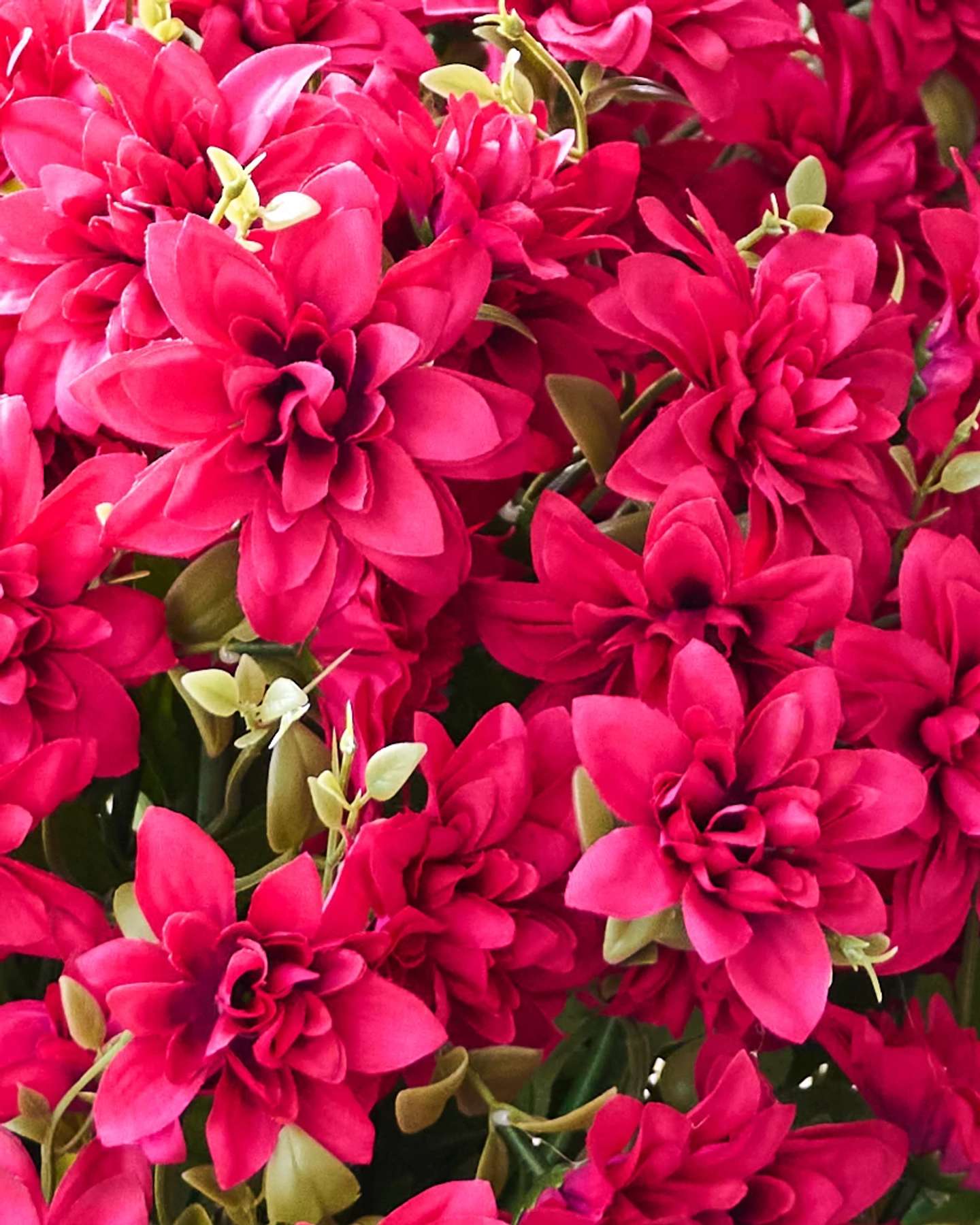 Balsam Hill Magenta Outdoor Dahlia Delight Artificial Spring Foliage Set of 2