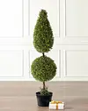 Battery-Operated Boxwood Topiary by Balsam Hill SSC 30