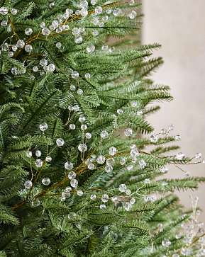 Crystal Tree Picks Crystal Tree Picks