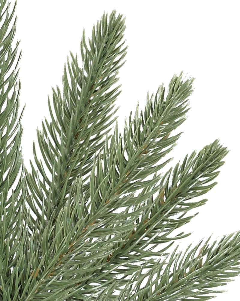 Highland Estate Spruce Potted Tree