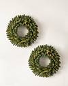 Classic Blue Spruce Wreath, Set of 2 by Balsam Hill SSC 10