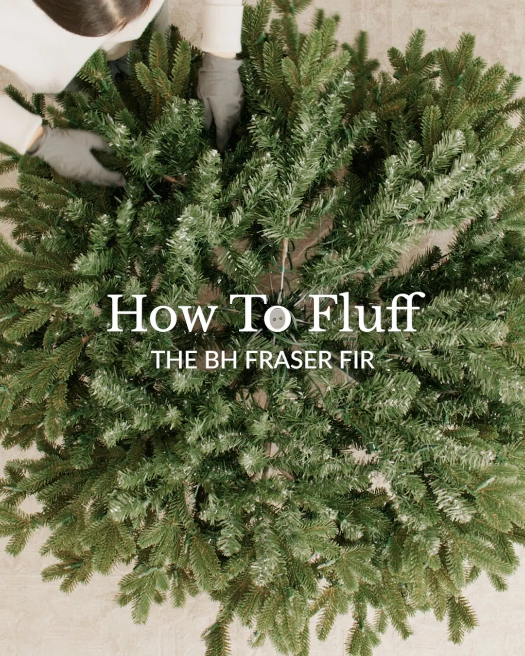 SAPINページ Sapin étincelant Stamp Set | Stampin' Up!