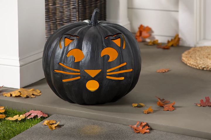 cool cat pumpkin carving ideas