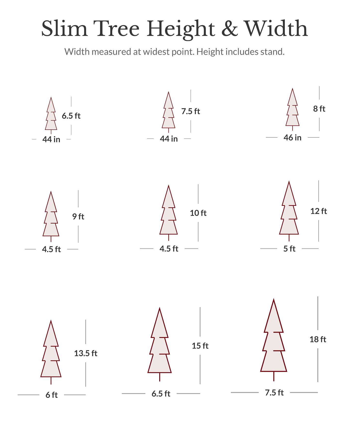 BH Balsam Fir Narrow