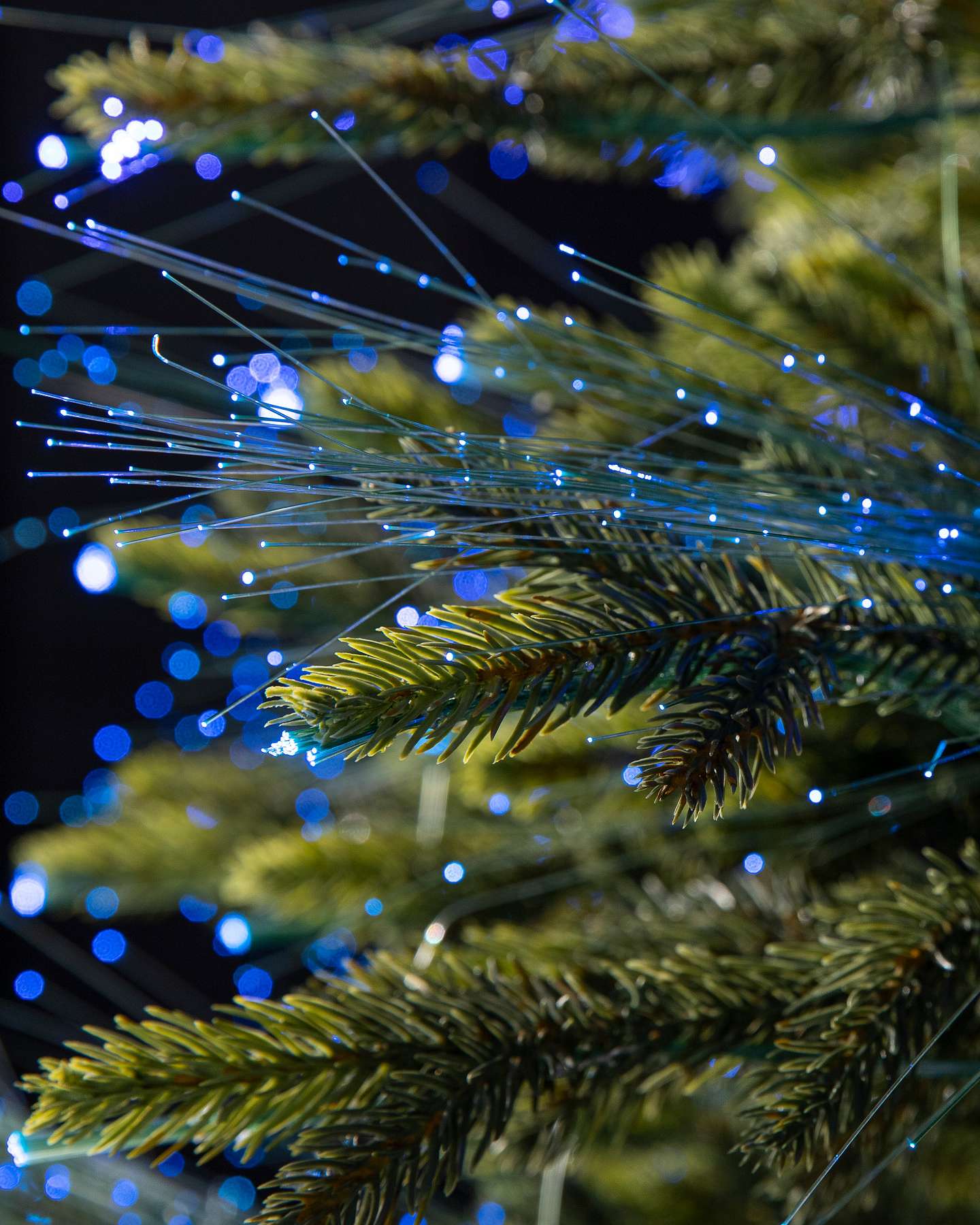 Balsam Hill Broadway Fiber Optics Artificial Christmas Tree Lights Detail