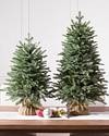 Balsam Fir Tabletop Tree by Balsam Hill Lifestyle 10