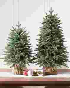 Balsam Fir Tabletop Tree by Balsam Hill Lifestyle 10