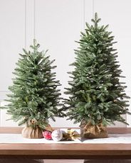 A pair of tabletop artificial balsam fir trees with a burlap sack