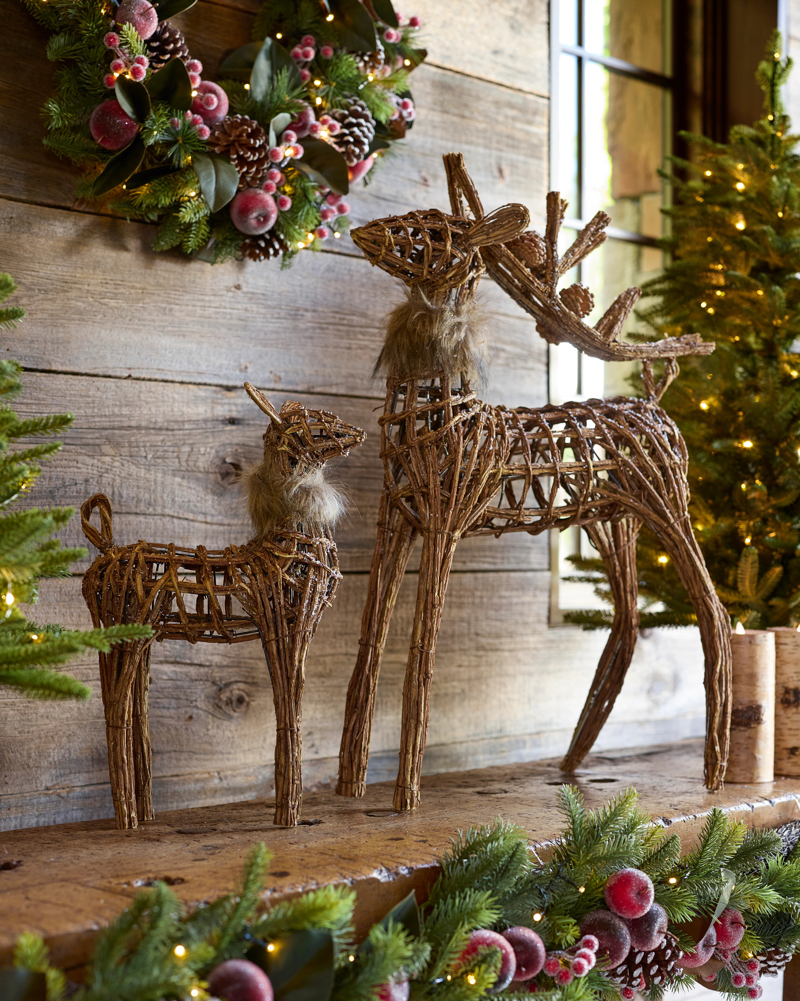 FGC-2441007_Woodland-