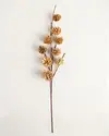 Gold Pinecone Picks Set of 12 by Balsam Hill Closeup 10
