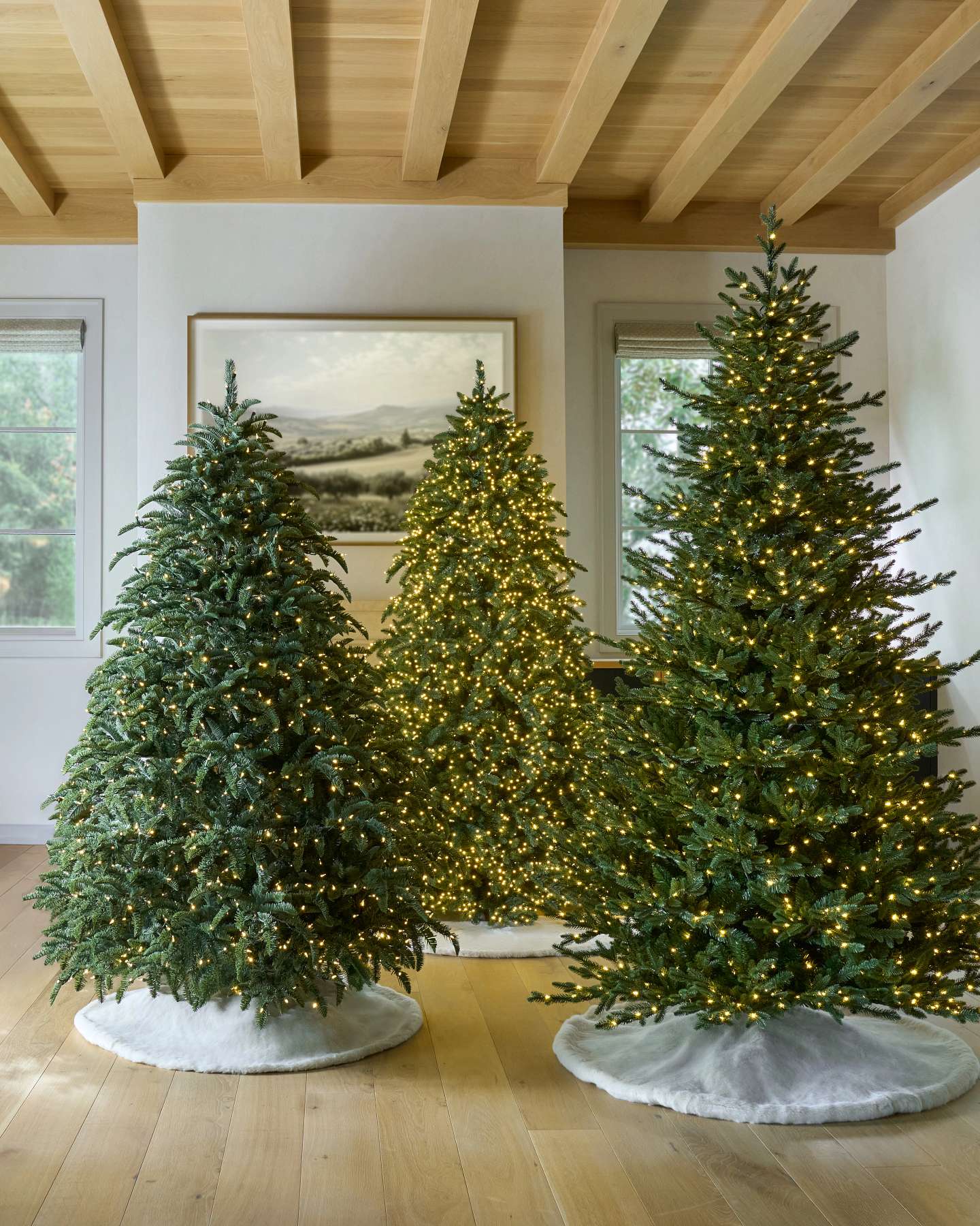 Stratton Valley Spruce