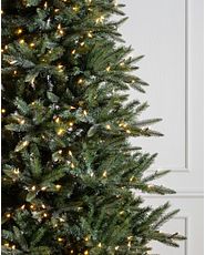 Nahaufnahme eines Weihnachtsbaums mit weißer Beleuchtung