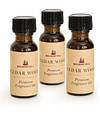 Cedar Wood Scents Of The Season Cartridge, Set Of 3 By Balsam Hill SSC 80